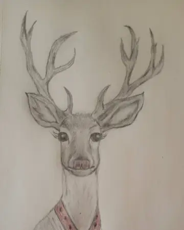 Graphite sketch of a stag with full antlers