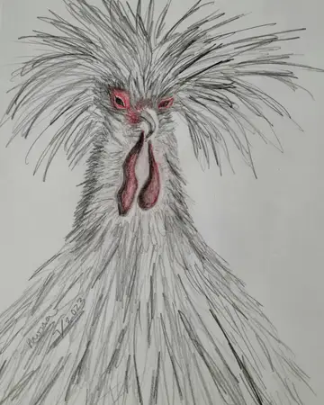 Graphite sketch of a bird with sweeping plumage